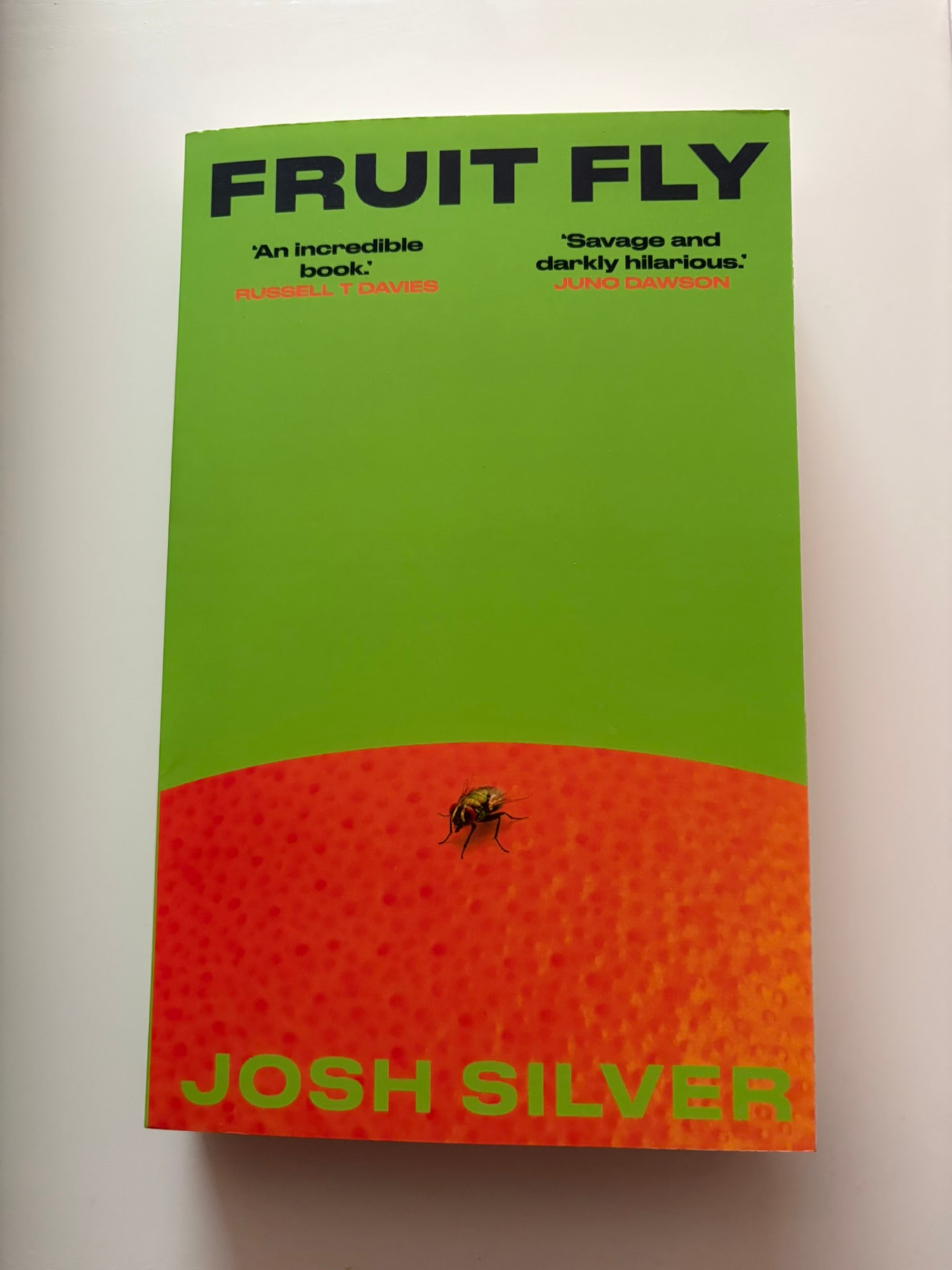 Fruit Fly by Josh Silver — book cover