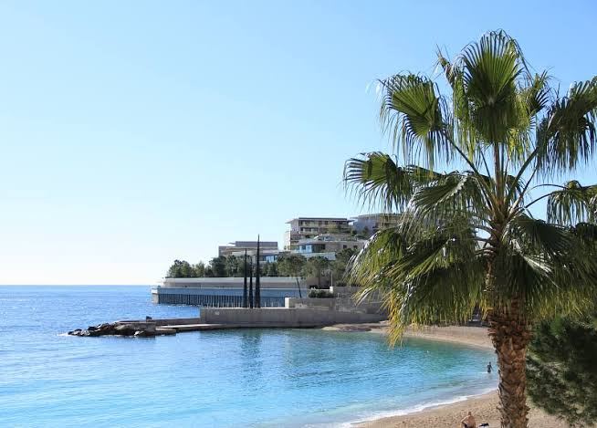 nice · turquoise quiet — a quiet beach in nice, one palm by Din Tanovic, Stockholm photo blog
