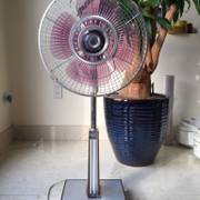 A silver pedestal fan with pink blades beside a large potted plant.