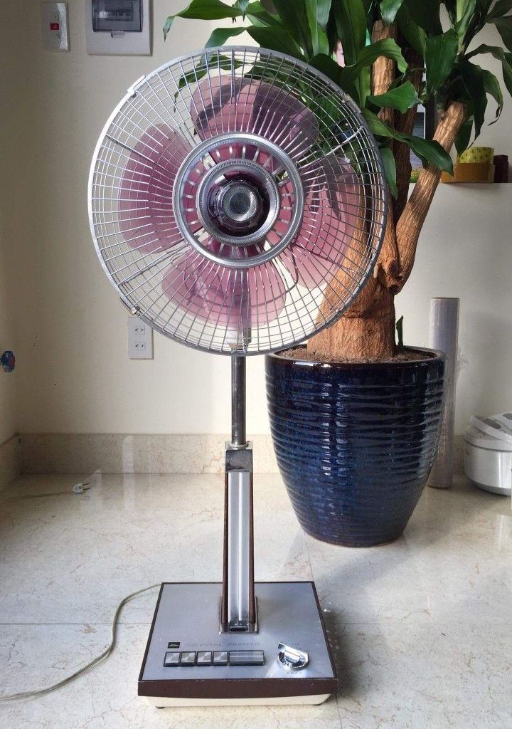 A silver pedestal fan with pink blades beside a large potted plant.