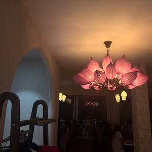 lotus light — pink petals overhead — photo by Din Tanovic, Stockholm