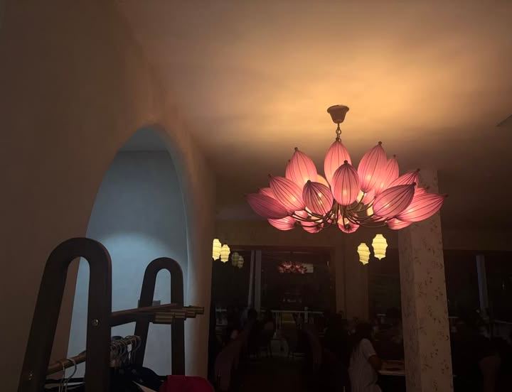 lotus light — pink petals overhead by Din Tanovic, Stockholm photo blog