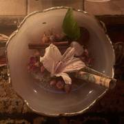 A pale shell-edged bowl holding dried rosebuds, a white lily, a cinnamon stick and a clear crystal.