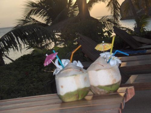 coconuts at dusk — palm shadows, two straws, salt air by Din Tanovic, Stockholm photo blog