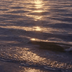 sun on the tide — golden waves — photo by Din Tanovic, Stockholm