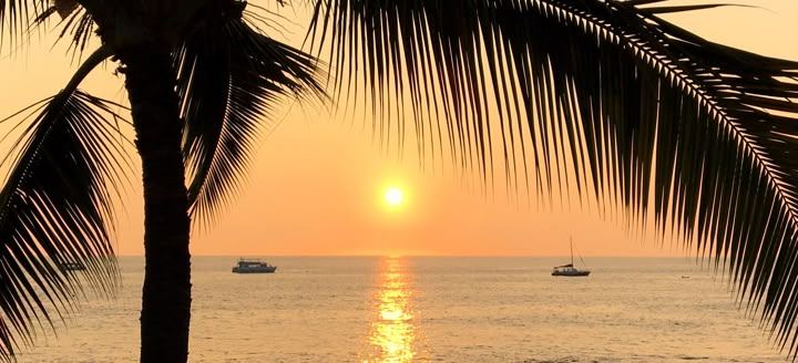 palm + boats — orange sky kind of day by Din Tanovic, Stockholm photo blog