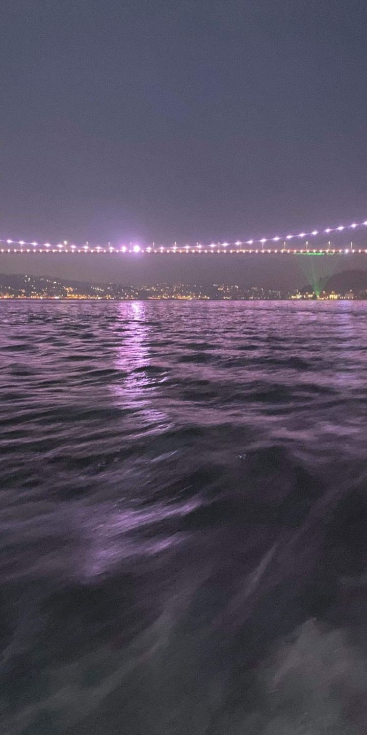 bosphorus by night — the bridge wearing rubies, the sea rehearsing violet. by Din Tanovic, Stockholm photo blog