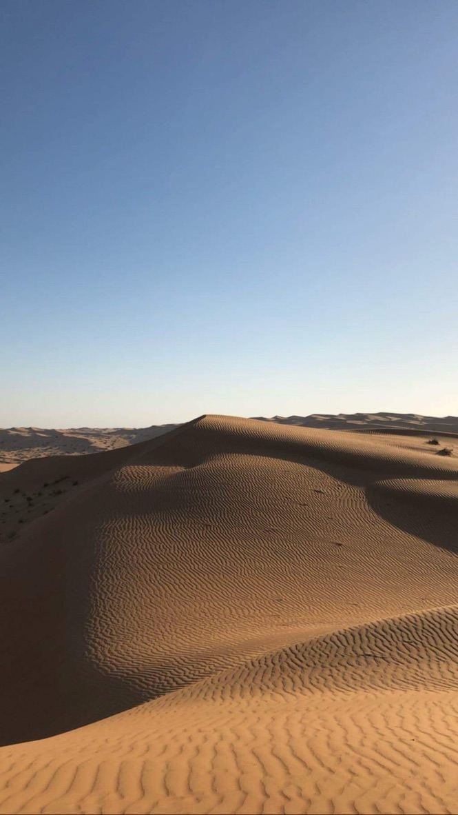 dunes — wind-written ridges, nothing hurrying anywhere. by Din Tanovic, Stockholm photo blog