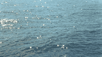 Sunlight sparkling across gently rippling blue water.