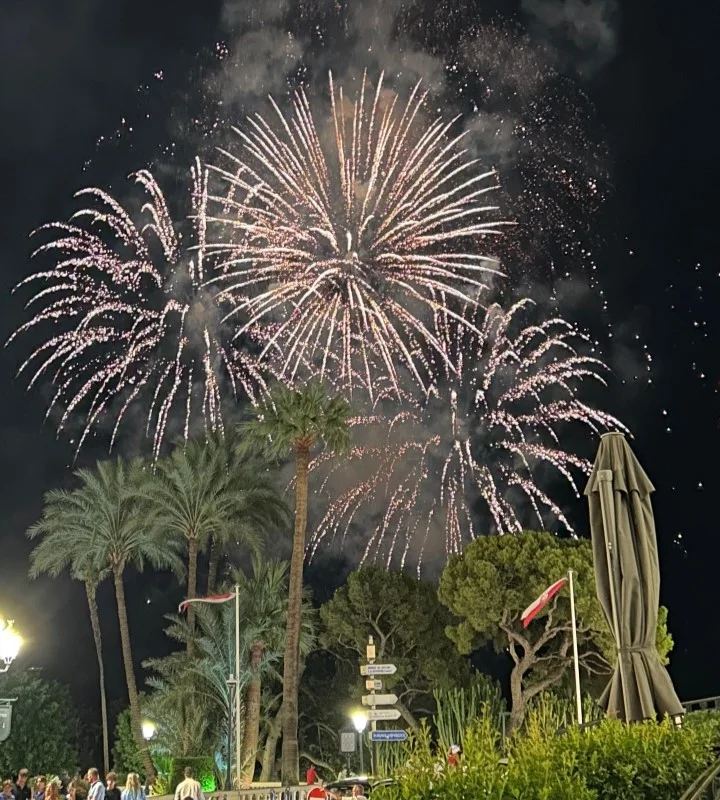 monaco · palms & fire — fireworks behind palm trees by Din Tanovic, Stockholm photo blog